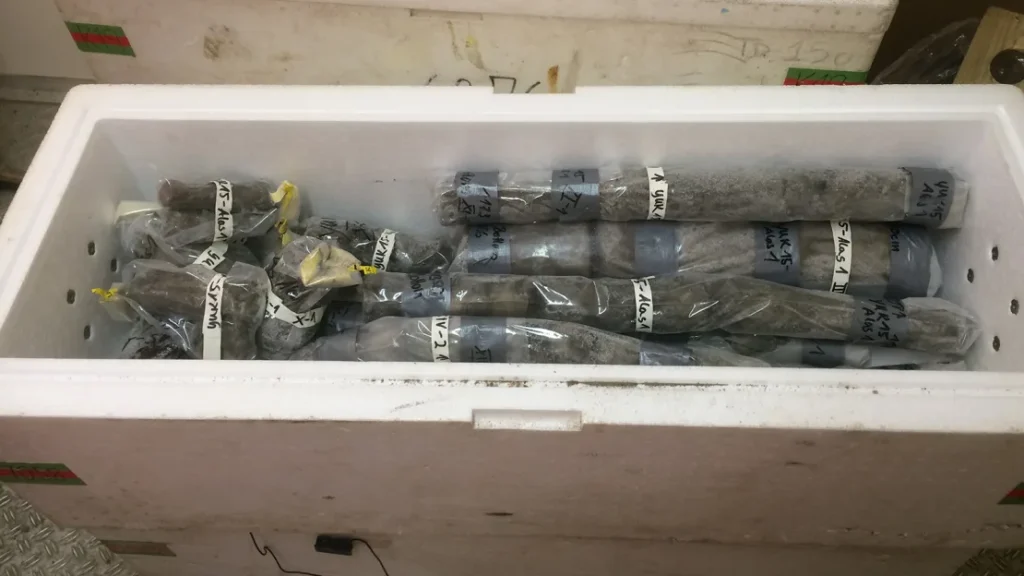 A container displays cores of permafrost samples.